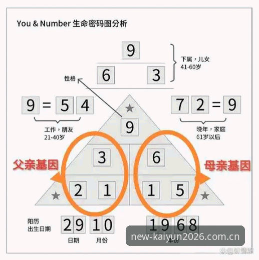 开云押注中国官网入口安卓版 揭秘2026开云押注中国官网入口安卓版背后的实用真相